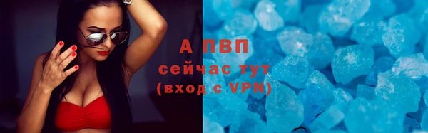 ГАЛЛЮЦИНОГЕННЫЕ ГРИБЫ Надым