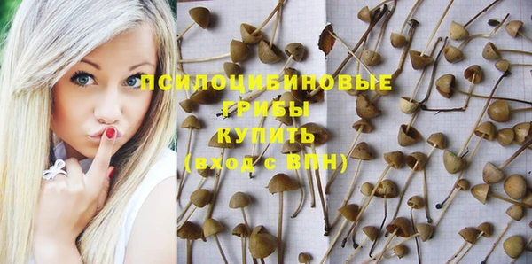 ГАЛЛЮЦИНОГЕННЫЕ ГРИБЫ Надым