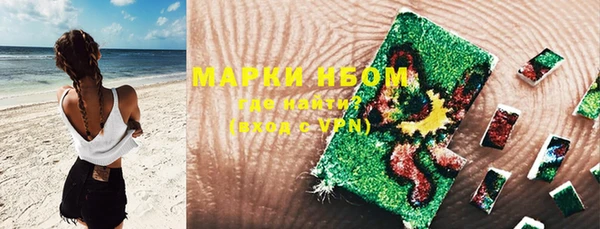 ГАЛЛЮЦИНОГЕННЫЕ ГРИБЫ Надым