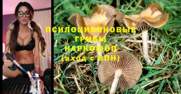скорость Нефтекумск