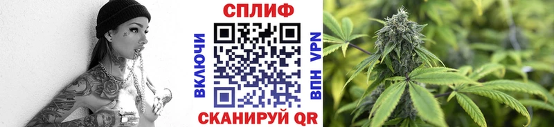 Бошки Шишки планчик  Купить где  Дальнереченск 